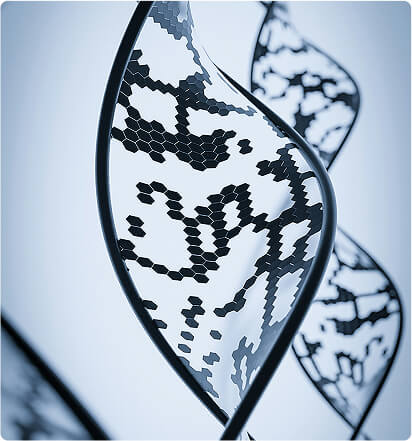 Annual renewal - use anytime within 12 months