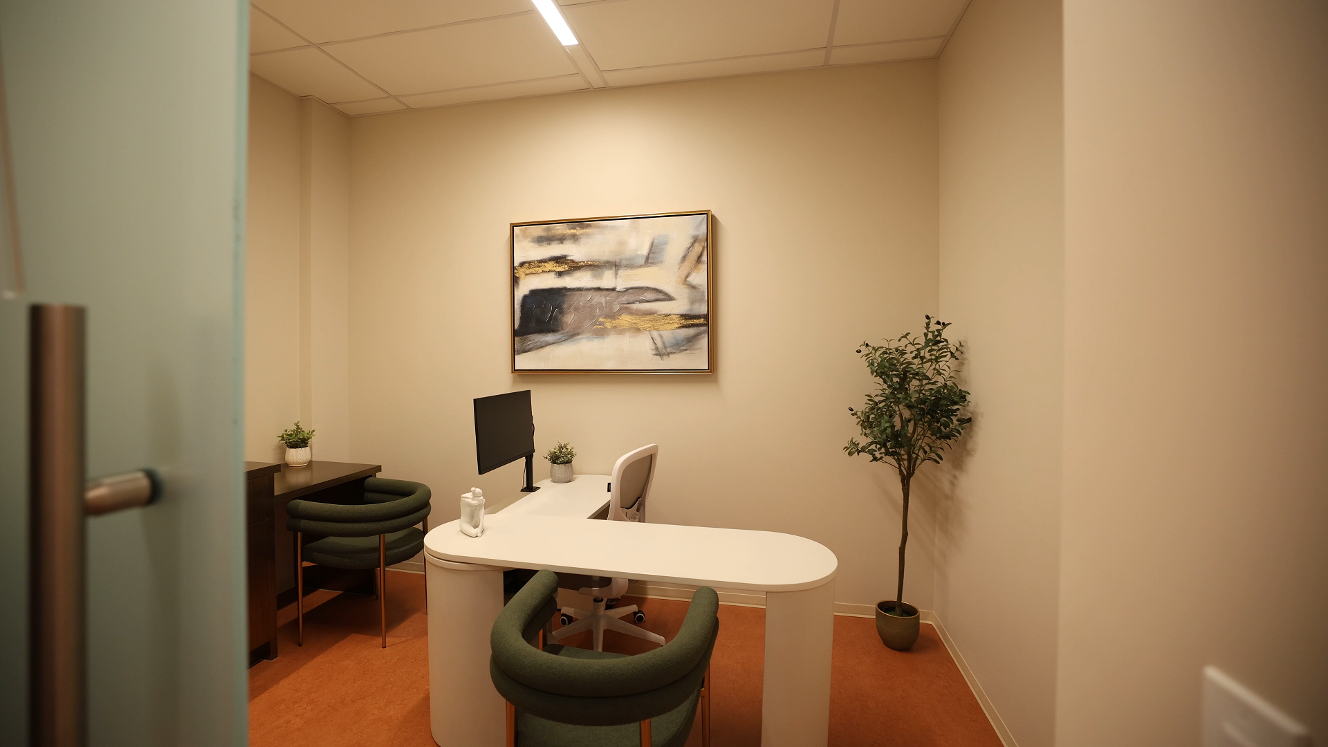 Personalized Longevity Plan