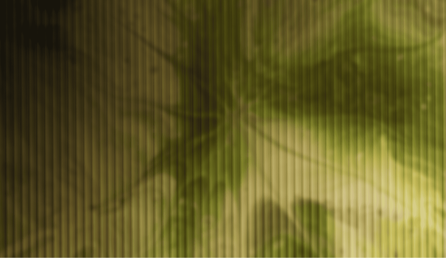 Gut health optimize banner