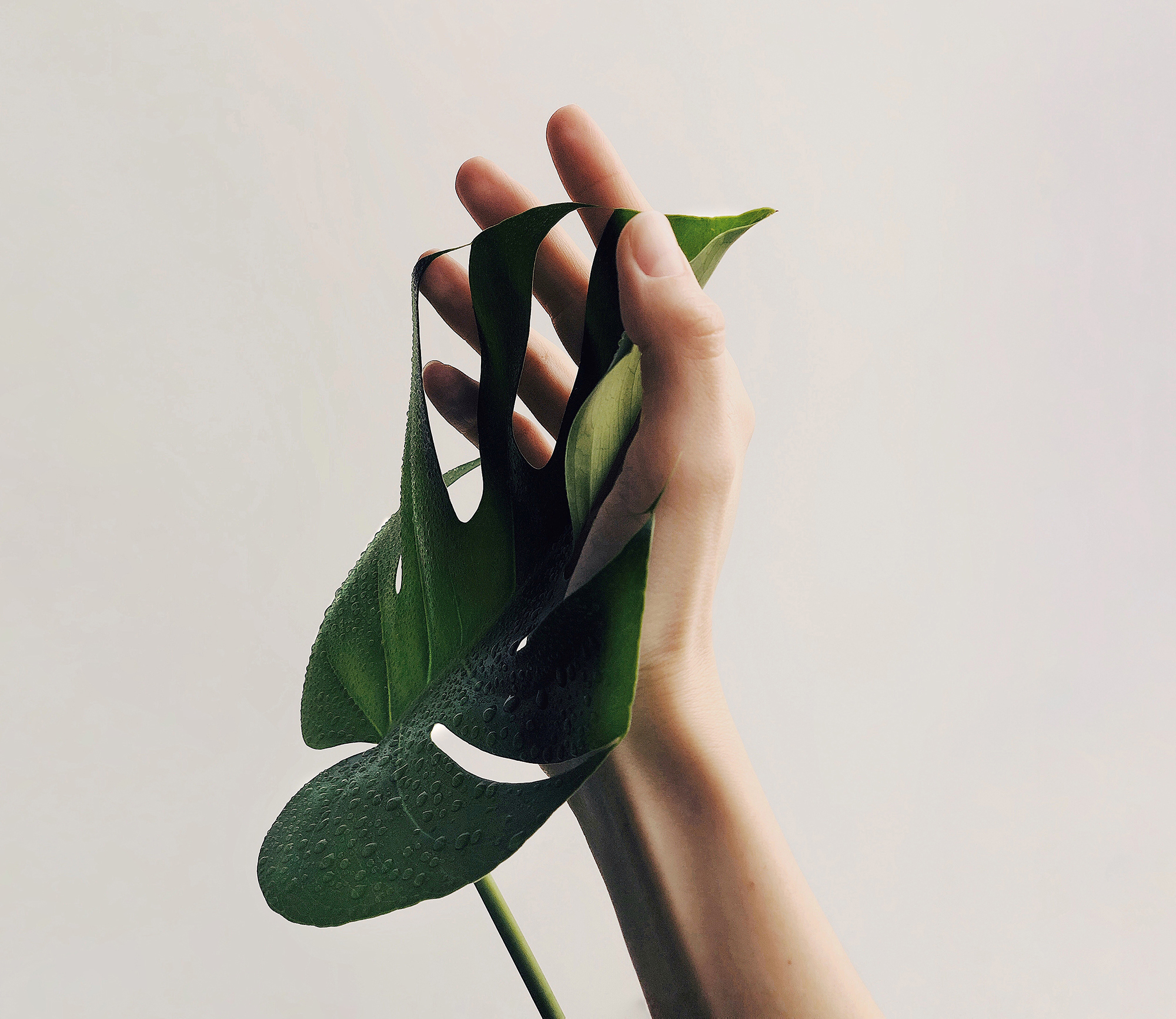 NMN – What Is It and How Can It Slow Aging?