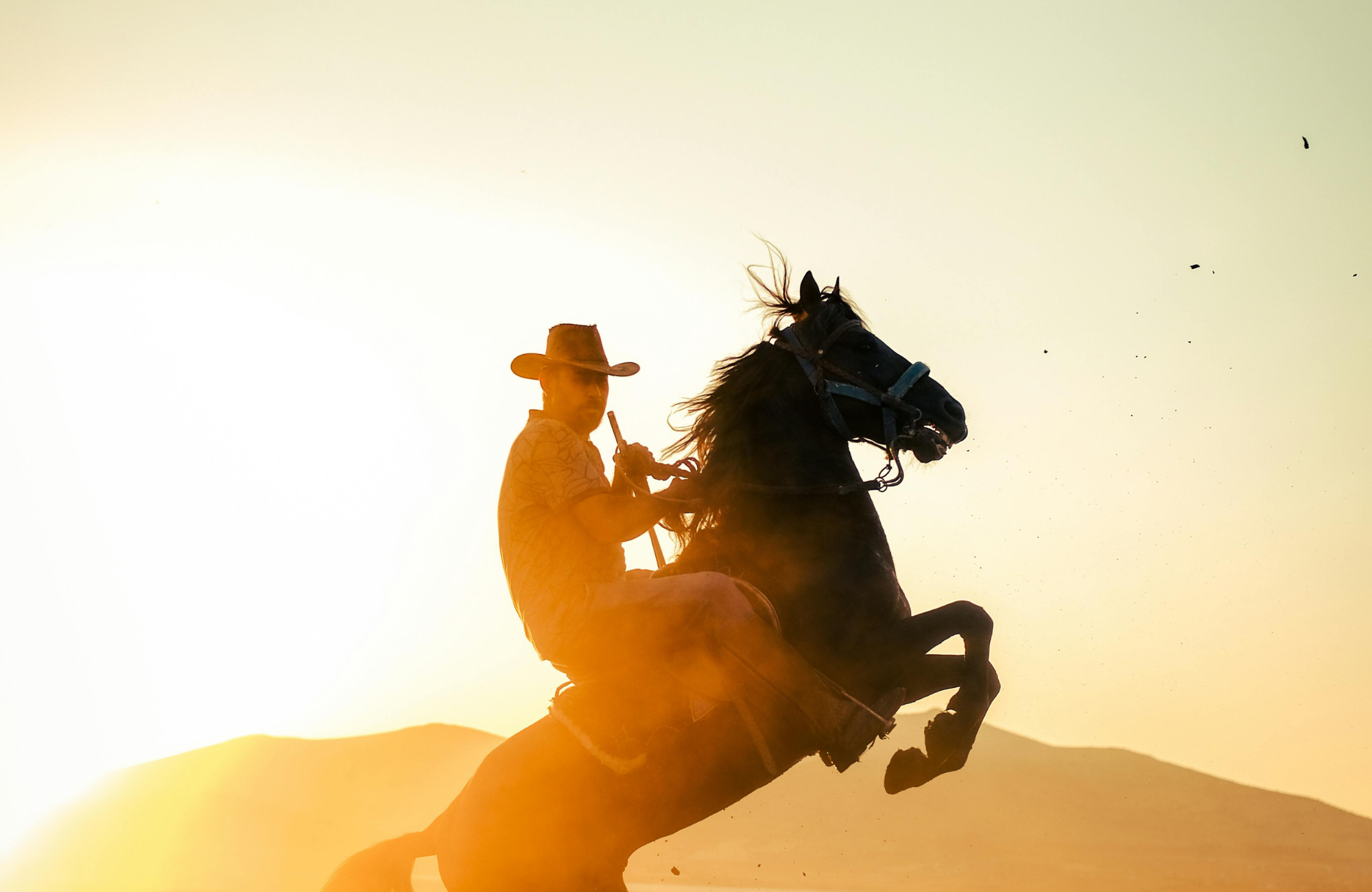 Calgary Stampede Reboot Promo Package 2026